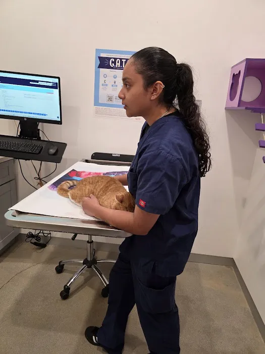 Pet Medical Center- Sunland Picture 2