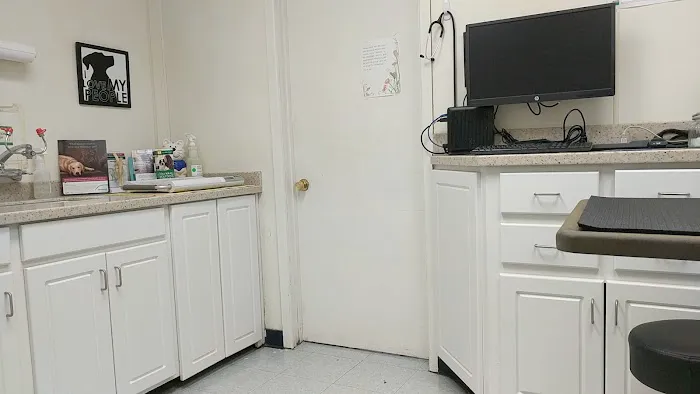 Pet Medical Center- Sunland Picture 5