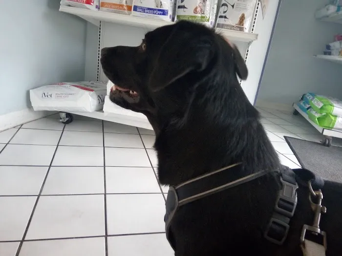 North Hollywood Animal Care Center Picture 6