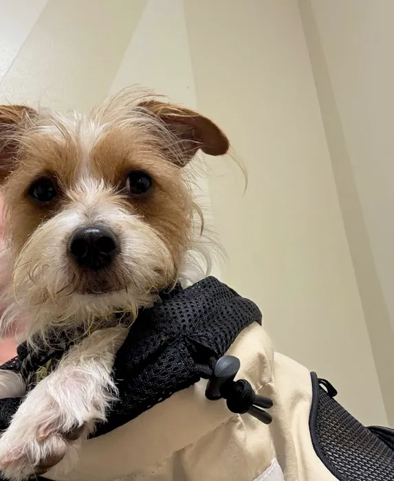 Vetco Total Care Animal Hospital Picture 4