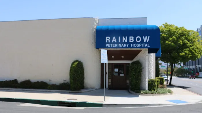 Rainbow Veterinary Hospital Picture 1