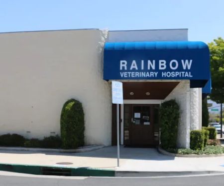 Rainbow Veterinary Hospital