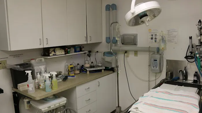 Rainbow Veterinary Hospital Picture 2
