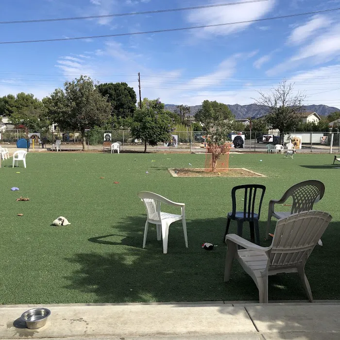 Low Cost Pet Vaccines Whitnall Off Leash Dog Park NORTH HOLLYWOOD/NO APPOINTMENT EVER NEEDED. Picture 2