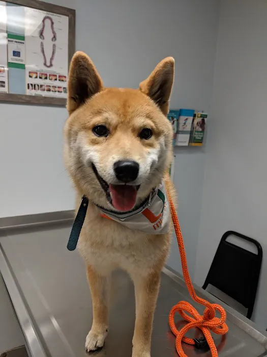 Best Friends Animal Hospital Picture 4