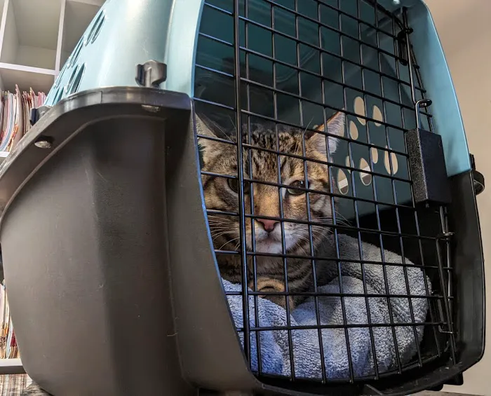 Evergreen Animal Care Center Picture 2