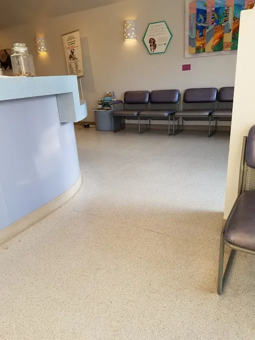 Rancho Park Veterinary Clinic Picture 10