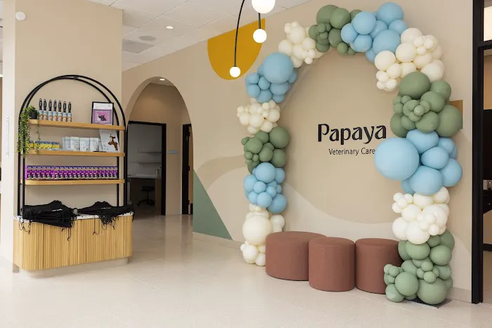 Papaya Veterinary Care - Culver City Picture 4