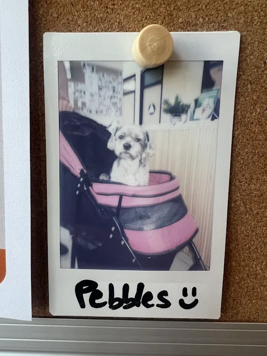 Papaya Veterinary Care - Culver City Picture 1
