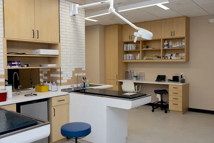 Papaya Veterinary Care - Culver City Picture 6