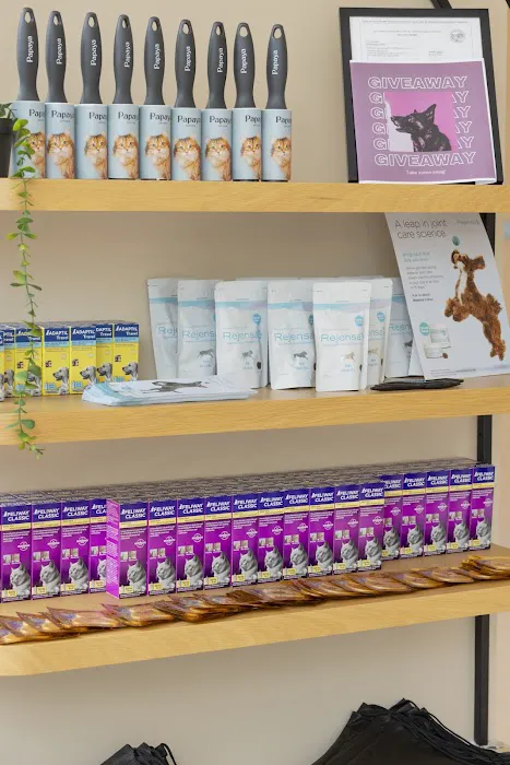Papaya Veterinary Care - Culver City Picture 7