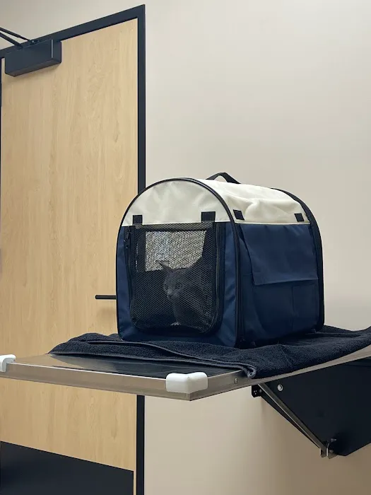 Papaya Veterinary Care - Culver City Picture 5