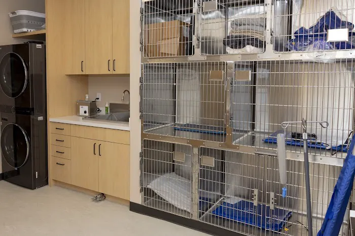 Papaya Veterinary Care - Culver City Picture 8