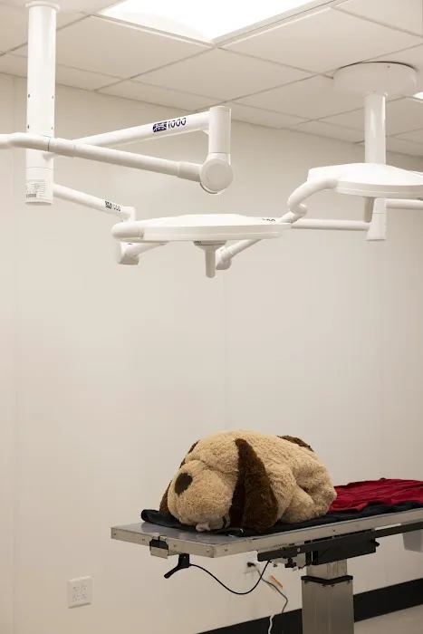 Papaya Veterinary Care - Culver City Picture 10