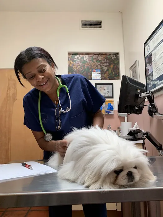 Culver Palms Animal Hospital Picture 2