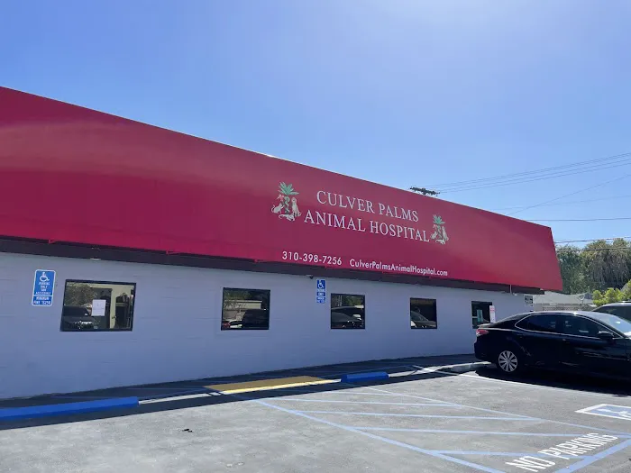Culver Palms Animal Hospital Picture 5