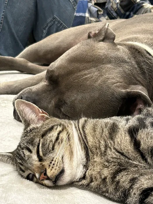 Sepulveda Animal Hospital Picture 8