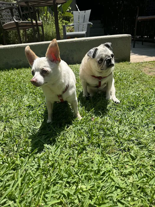 Sepulveda Animal Hospital Picture 7
