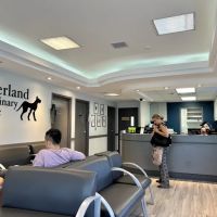 Overland Veterinary Clinic ico