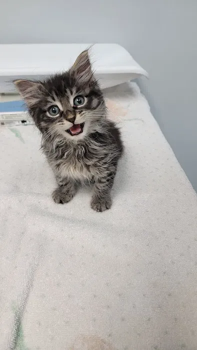 Overland Veterinary Clinic Picture 5