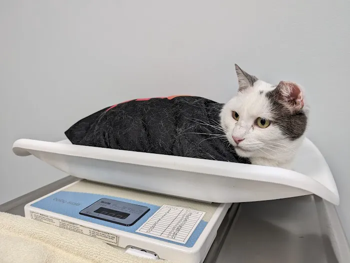 Overland Veterinary Clinic Picture 3
