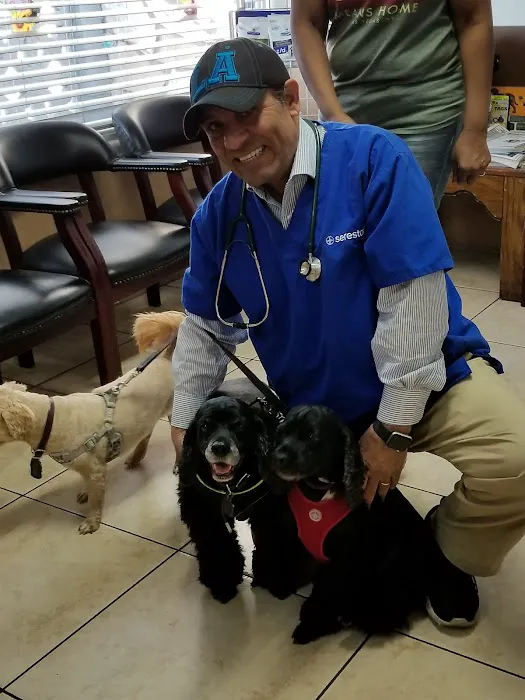 Fox Hills Animal Hospital Picture 6