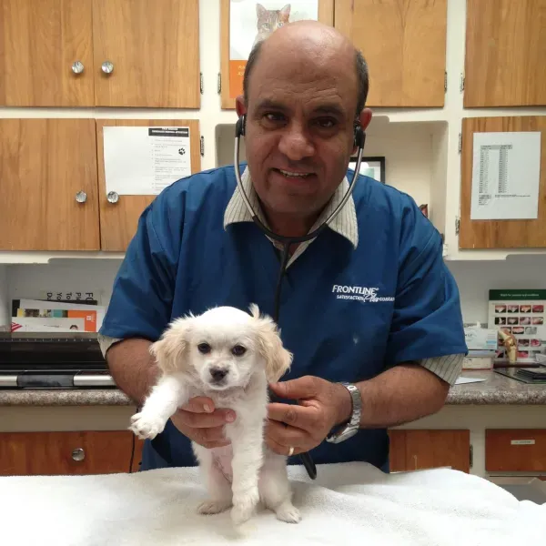 Fox Hills Animal Hospital Picture 8
