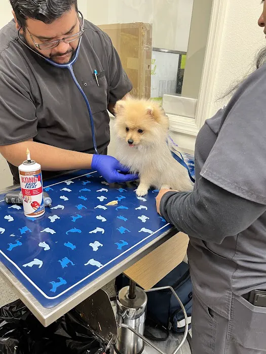 Vetco Vaccination Clinic Picture 3