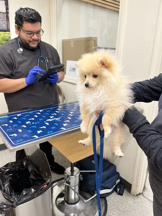 Vetco Vaccination Clinic Picture 1
