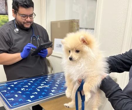 Vetco Vaccination Clinic