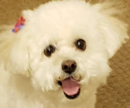 Banfield Pet Hospital