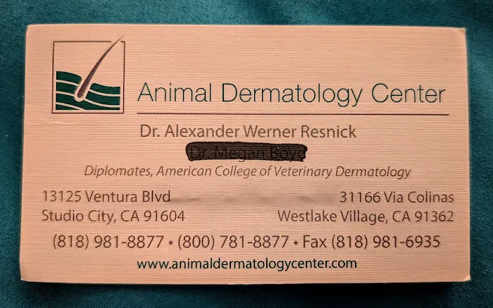 Animal Dermatology Center Picture 5