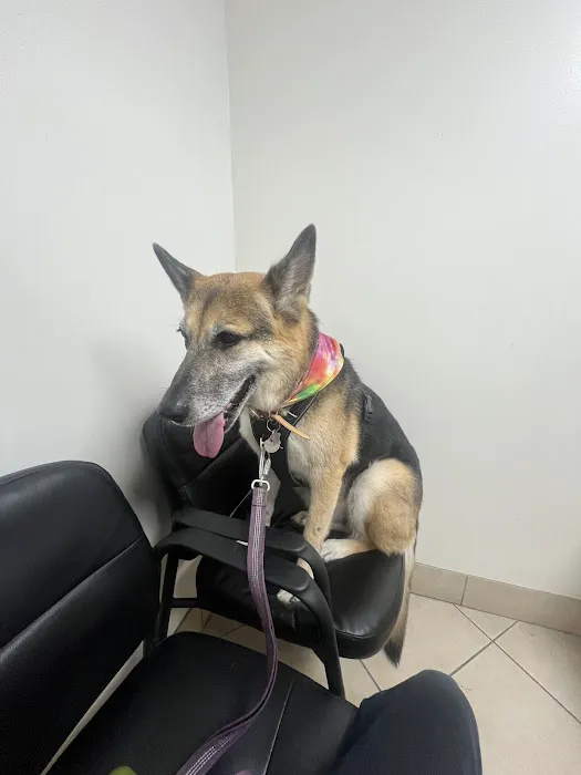 Aloro Pet Hospital Picture 4