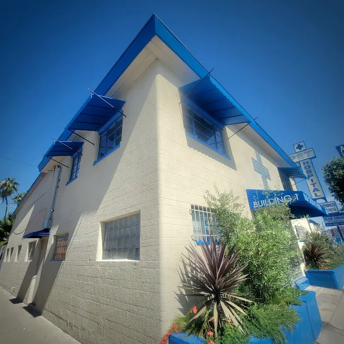 Blue Cross Pet Hospital Picture 2