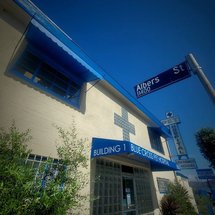 Blue Cross Pet Hospital Picture 3