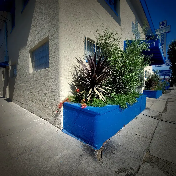 Blue Cross Pet Hospital Picture 5