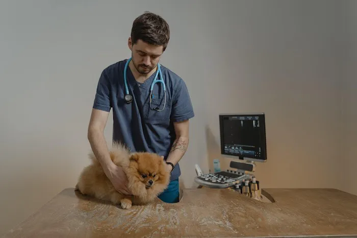Blue Cross Pet Hospital Picture 10
