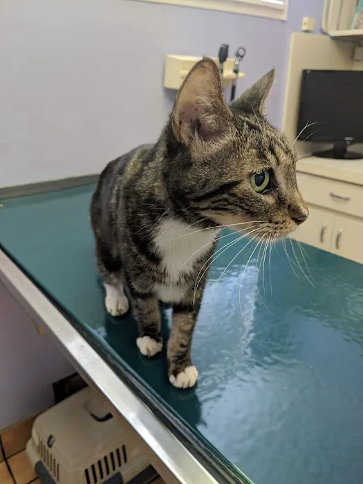 Blue Cross Pet Hospital Picture 8
