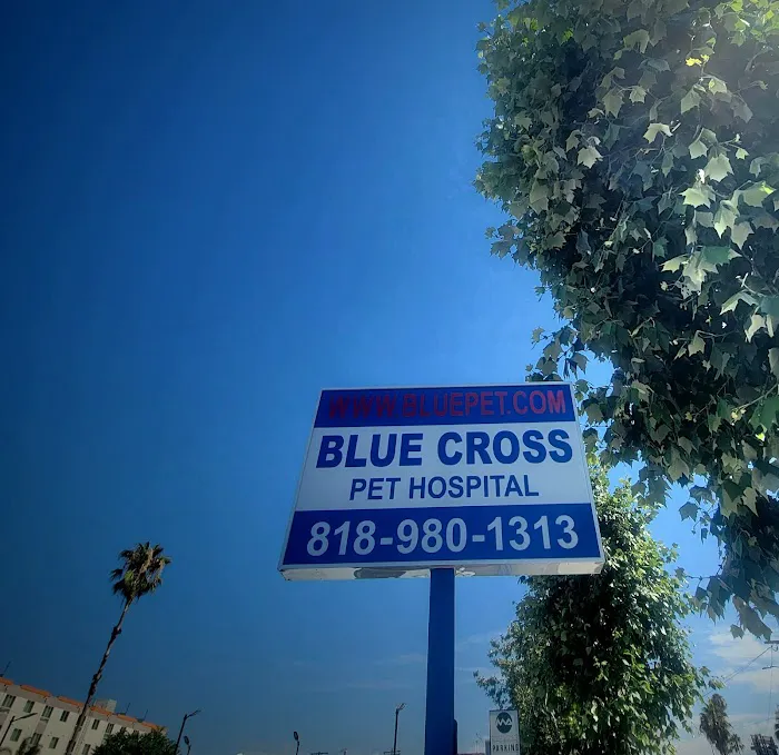 Blue Cross Pet Hospital Picture 6