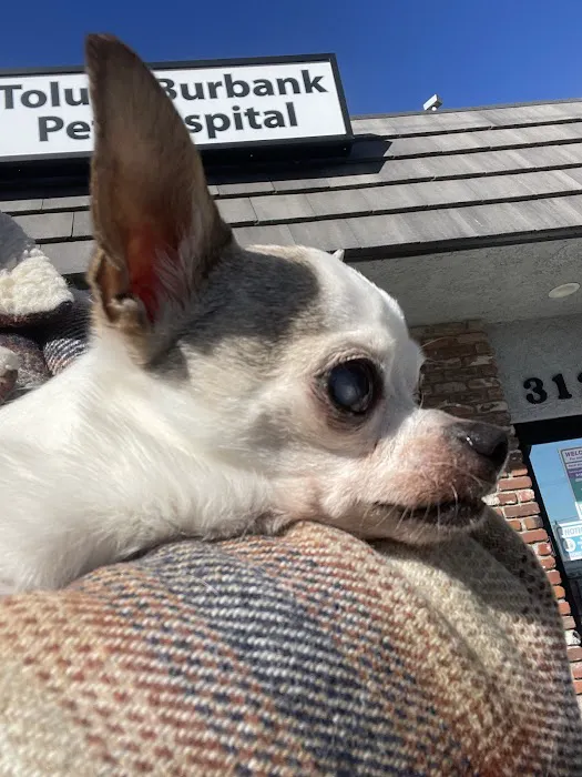 Toluca Burbank Dog & Cat Hospital Picture 1