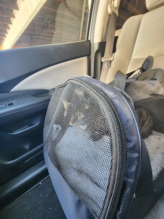 Toluca Burbank Dog & Cat Hospital Picture 5