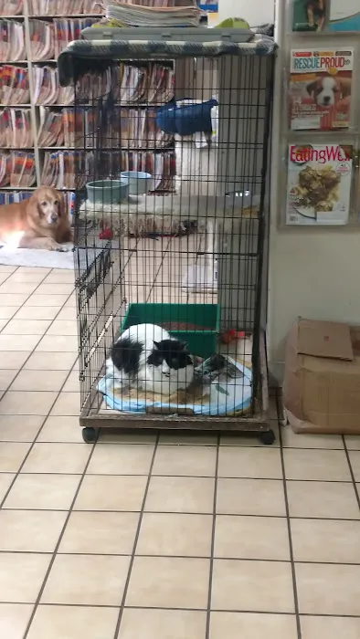 Toluca Burbank Dog & Cat Hospital Picture 7