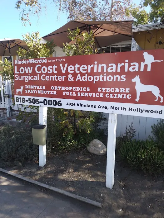 Kinder 4 Rescue Low Cost Pet Clinic Picture 10