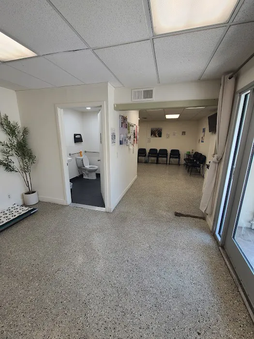 Affordable Animal Hospital NOHO Picture 4