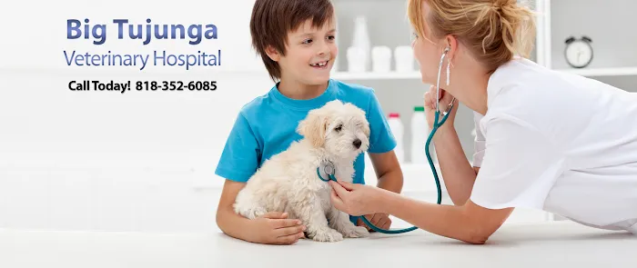 Big Tujunga Vet Hospital Picture 8