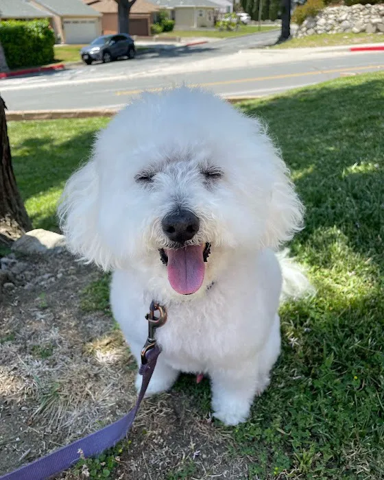 PetSmart Veterinary Services - Tujunga Picture 4
