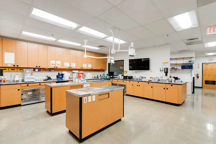 PetSmart Veterinary Services - Tujunga Picture 9