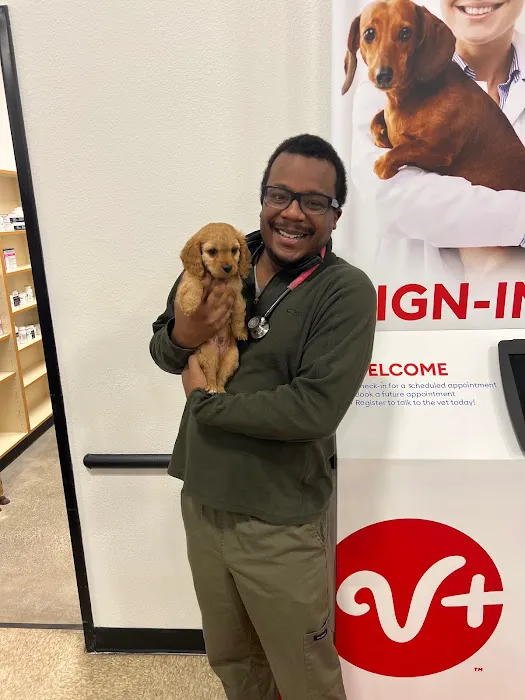 PetSmart Veterinary Services - Tujunga Picture 5