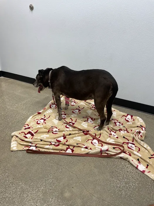 PetSmart Veterinary Services - Tujunga Picture 6