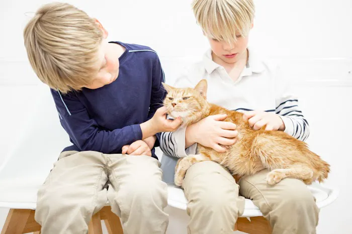 Crescenta Cañada Pet Hospital Picture 9